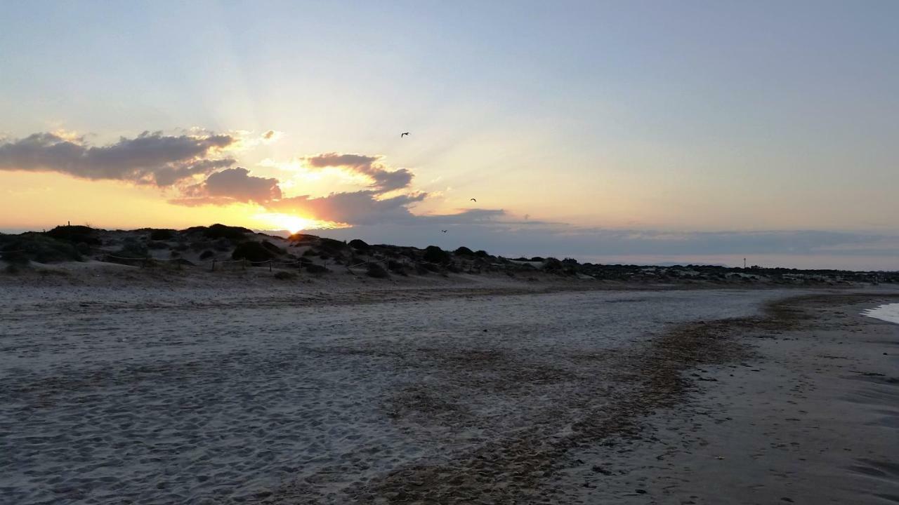 Urbanizacion Puerto Romano - Playa La Mata  Εξωτερικό φωτογραφία