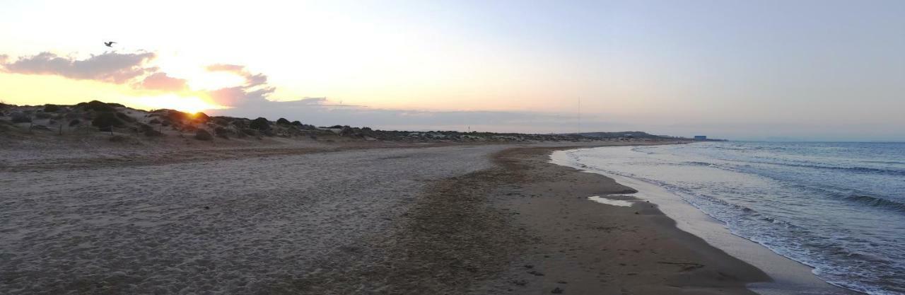 Urbanizacion Puerto Romano - Playa La Mata  Εξωτερικό φωτογραφία