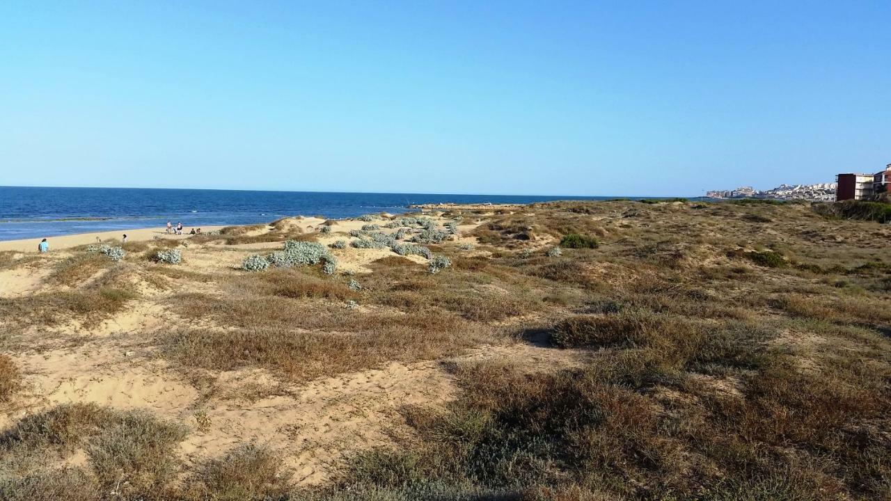 Urbanizacion Puerto Romano - Playa La Mata  Εξωτερικό φωτογραφία
